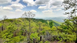 계룡산 소파우봉 남산 국사봉 (상주) - 정기산행 후기/사진 - 뉴서울마운틴클럽 계룡산 소파우봉 남산 국사봉 (상주)