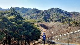 필봉 대장산 △(영월314) 구진산 보인산 (제천) - 정기산행 후기/사진 - 뉴서울마운틴클럽 필봉 대장산 △(영월314) 구진산 보인산 (제천)
