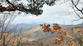 △(관기420) 삼봉산 골치봉 소머리산 곰골산 두리봉 (상주) - 정기산행... (관기420) 삼봉산 골치봉 소머리산 곰골산 두리봉 (상주)