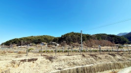 필봉 대장산 △(영월314) 구진산 보인산 (제천) - 정기산행 후기/사진 - 뉴서울마운틴클럽 필봉 대장산 △(영월314) 구진산 보인산 (제천)