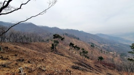 작은우태산 우태산 미모산 삼두봉 백운산(삼방산) 세심산 백운산 (김천)... 뉴서울마운틴클럽 작은우태산 우태산 미모산 삼두봉 백운산(삼방산)... 