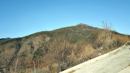 △(정선423) 반륜산 반론산 △(정선424) 염장봉 (정선) - 정기산행... 뉴서울마운틴클럽 △(정선423) 반륜산 반론산 △(정선424) 염장봉 (정선)