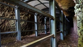 11/26 셋알오름 일제 고사포진지 및 동굴 알뜨르비행기 격납고 등 안보견학 - 제주지부 지회 소식 - 대한민국 6ㆍ25 전몰군경 유자녀회 중앙회... 