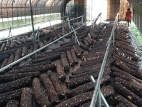 2020년 농사실습 9월 모임 - 눈비산 농사 - 눈비산마을 2020년 농사실습 9월 모임