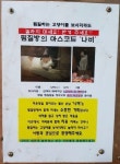 2016년 동물농장 출연했던 찜질방 고양이 나비 근황...JPG - 악플달면 쩌리쩌려버려 - ＊여성시대＊ 차분한 20대들의 알흠다운 공간 2016년... 