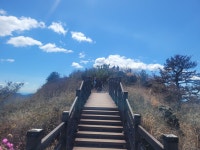 산림청 선정 한국의 숨겨진 우리 산 중 하나인, 진달래 만개한 여수... 한국의 숨겨진 우리 산 중 하나인, 진달래 만개한 여수 영취산을 다녀왔다.