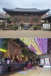 산림청 선정 한국의 숨겨진 우리 산 중 하나인, 진달래 만개한 여수... 한국의 숨겨진 우리 산 중 하나인, 진달래 만개한 여수 영취산을 다녀왔다.
