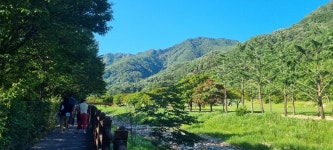 - 피정 - 문경 엠마오 기쁨 피정의 집 믿음 사랑 순례 축복 치유 감사 거룩한 미사 피정! 벗 575 기 (2025.7,10-11). 제대회 576 기(7,11... 