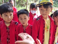 25.10.17 예산어린이집(만4세~6세)/유아 숲미술 - 2025 유아자연예술 - 미술관로 250 25.10.17 예산어린이집(만4세~6세)/유아 숲미술