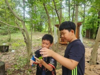(25.09.15)옥과초등학교4-1/묵은숲 - 2026 마을학교 동네북 - 미술관로 250 (25.09.15)옥과초등학교4-1/묵은숲