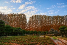 2025년 11월 공소순례 중 아가페정원에서 #02 - 순교자현양분과 - 부송동성당 2025년 11월 공소순례 중 아가페정원에서 #02