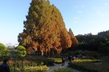 2025년 11월 공소순례 중 아가페정원에서 #02 - 순교자현양분과 - 부송동성당 2025년 11월 공소순례 중 아가페정원에서 #02