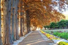 2025년 11월 공소순례 중 아가페정원에서 #02 - 순교자현양분과 - 부송동성당 2025년 11월 공소순례 중 아가페정원에서 #02