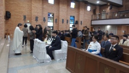 2025.11.29. 부송동성당 오전 11시 혼배미사 #02 - 본당 앨범 - 부송동성당 2025.11.29. 부송동성당 오전 11시 혼배미사 #02