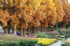 2025년 11월 공소순례 중 아가페정원에서 #02 - 순교자현양분과 - 부송동성당 2025년 11월 공소순례 중 아가페정원에서 #02