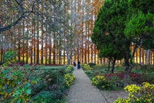 2025년 11월 공소순례 중 아가페정원에서 #02 - 순교자현양분과 - 부송동성당 2025년 11월 공소순례 중 아가페정원에서 #02