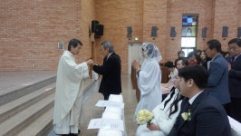 2025.11.29. 부송동성당 오전 11시 혼배미사 #02 - 본당 앨범 - 부송동성당 2025.11.29. 부송동성당 오전 11시 혼배미사 #02