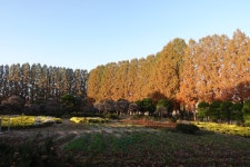 2025년 11월 공소순례 중 아가페정원에서 #02 - 순교자현양분과 - 부송동성당 2025년 11월 공소순례 중 아가페정원에서 #02