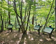 2025년8월3일 첫째주 일요일 강릉 연곡 소금강계곡 트레킹 갑니다 - 숲사랑 정기 트레킹 - 춘천 숲사랑 트레킹 2025년8월3일 첫째주 일요일... 