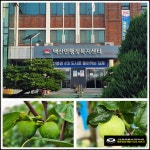 (평온장묘개발) 김제시 묘지 개장 및 안성시 묘지 현장 답사 - 장묘... 평온장묘 (평온장묘개발) 김제시 묘지 개장 및 안성시 묘지 현장 답사