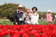 새로나 성경대학 엠마오 - 경주 1 - 새로나 성경대학 - 천주교대구대교구 대명성당 새로나 성경대학 엠마오 - 경주 1