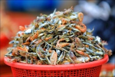 [서천/보령] 서해랑길 59코스 트래킹 - 트레킹/둘레길 사진 - 청마(靑馬) 산행방 [서천/보령] 서해랑길 59코스 트래킹