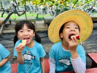 🍎사과 수확을 다녀왔어요🍎 - 생활 엿보기 - 예린유치원 🍎사과 수확을 다녀왔어요🍎