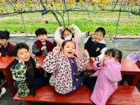 🍎불곡산농원 사과수확🍎 - 생활 엿보기 - 예린유치원 🍎불곡산농원 사과수확🍎