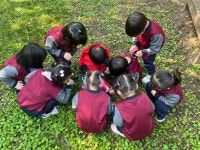 🌳국립수목원에 다녀왔어요🌳 - 생활 엿보기 - 예린유치원 🌳국립수목원에 다녀왔어요🌳