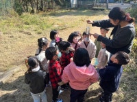 🐿️즐거운 가을숲 산책🐿️ - 생활 엿보기 - 예린유치원 🐿️즐거운 가을숲 산책🐿️