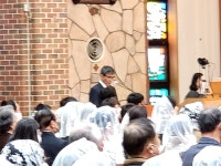 4월6일(목)성유축성미사(중앙주교좌성당)오전10시30분 - 본당 이미지... 광양성당 4월6일(목)성유축성미사(중앙주교좌성당)오전10시30분