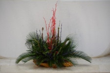 주님 수난 성지 주일(2023년 4월 2일) - 본당 이미지 - 천주교 제주교구 광양성당 주님 수난 성지 주일(2023년 4월 2일)