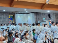 4월6일(목)성유축성미사(중앙주교좌성당)오전10시30분 - 본당 이미지... 광양성당 4월6일(목)성유축성미사(중앙주교좌성당)오전10시30분