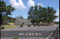 2020.3.27(금)제주 이시돌 새미 은총의 동산-십자가의 길 - 자유게시판... 광양성당 2020.3.27(금)제주 이시돌 새미 은총의 동산-십자가의 길