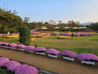 (24.10.12)전북=오봉산.붕어섬(용운마을~오봉산~국사봉... (24.10.12)전북=오봉산.붕어섬(용운마을~오봉산~국사봉~~옥정호마실길~붕어섬)