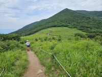 353. (25.08.02~08.03)인제=원대리 자작나무숲. 곰배령 - 2020년 산행앨범 - 광태와 산 353. (25.08.02~08.03)인제=원대리 자작나무숲. 곰배령