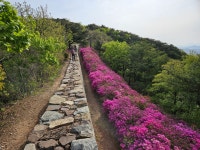 (25.04.27)김포=DMZ평화의길2코스 (7.8km=문수산성남문... (25.04.27)김포=DMZ평화의길2코스 (7.8km=문수산성남문~애기봉입구)