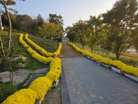 (24.10.12)전북=오봉산.붕어섬(용운마을~오봉산~국사봉... (24.10.12)전북=오봉산.붕어섬(용운마을~오봉산~국사봉~~옥정호마실길~붕어섬)