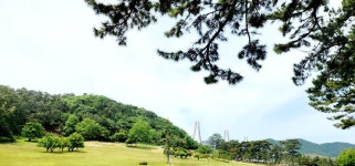 대통령 별장(거제시 저도/25.5.18)도보여행 - 정기산행사진첩 - 라온산행클럽 대통령 별장(거제시 저도/25.5.18)도보여행