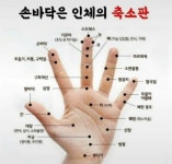 ✋손바닥을 이용한 전신마사지 비법 총정리 - 건강/치유 - 트럼프왕과 기사이야기 ✋손바닥을 이용한 전신마사지 비법 총정리
