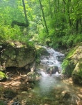 서산갯마을산악회, 제124차 정기산행(영월 내리계곡)...숲길 걷기 & 물놀이 - 산행(여행) 안내&신청 - 서산 갯마을산악회 서산갯마을산악회... 