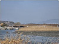 남파랑길10구간2일차(역) (고흥,보성, 순천)( 오산삼거리-와온해변)... (역) (고흥,보성, 순천)( 오산삼거리-와온해변) (65-1코스~ 61코스 )