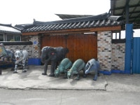 경기도둘레길7구간(마전리마을회관-군남홍수조절지... (마전리마을회관-군남홍수조절지-옥계리게스트하우스-신탄리역: 임진적벽길, 통일이음길))