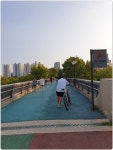 고양누리길 7코스(호수누리길 :백신고사거리~장항육교~ 노래하는분수대-호수공원-장항육교)사진 - 고양누리길 자료와 사진:완 - 산중의 세상... 