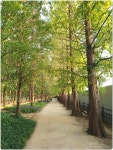 고양누리길 7코스(호수누리길 :백신고사거리~장항육교~ 노래하는분수대-호수공원-장항육교)사진 - 고양누리길 자료와 사진:완 - 산중의 세상... 