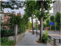 고양누리길 7코스(호수누리길 :백신고사거리~장항육교~ 노래하는분수대-호수공원-장항육교)사진 - 고양누리길 자료와 사진:완 - 산중의 세상... 