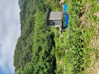 보성군 조성면 농장 모습 공유합니다 - 동산바치 (회원자유게시판) - 토종 과일나무 살리기 보성군 조성면 농장 모습 공유합니다