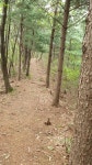 *가볍게 오를만한 산 ...드름산* - 우리들의 이야기 - 한국 숲해설가협회 경기북부지회 *가볍게 오를만한 산 ...드름산*
