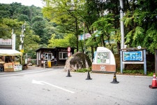 홍천 수타사 산소길 공작산이 품은 힐링 사찰 여행 - 역사. 여행.... 영화감상 - 재경대구사범.대구교육대학교동창회 홍천 수타사 산소길 공작산이... 