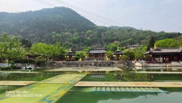 [4일차] 양귀비와 화청지 관광 - 정기산행사진방 - 광주 산들애 힐링산악회 [4일차] 양귀비와 화청지 관광